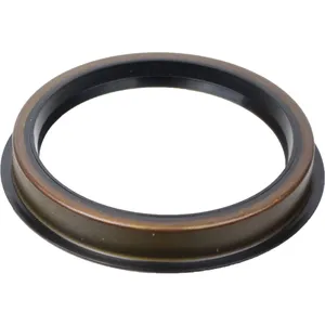 SKF Seal 491036 