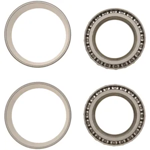 Spicer Differential Bearing Set 216486 