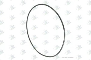 Euroricambi O-RING 138X3 1118830 
