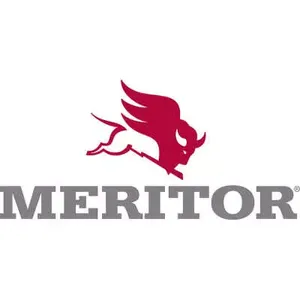 Meritor Ay-Asa-1.25-10 774590 