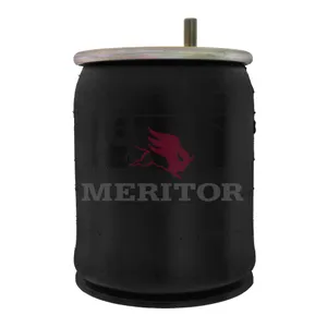 Firestone Air Spring 763952 