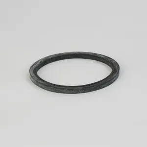 Donaldson GASKET ELEMENT 1066094 
