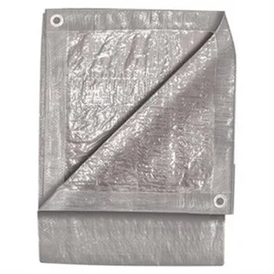 ToolWeb 10' X 20' SILVE 1225853 