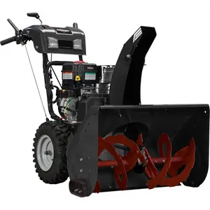 Briggs & Stratton SNAPPER 29  DUA 1220656 