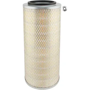 Baldwin Air Element 223862 
