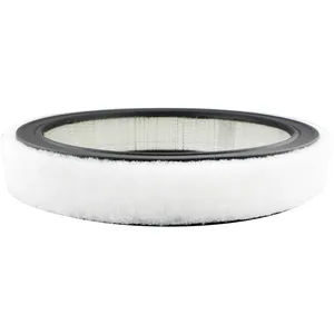 Baldwin AIR FILTER 379804 