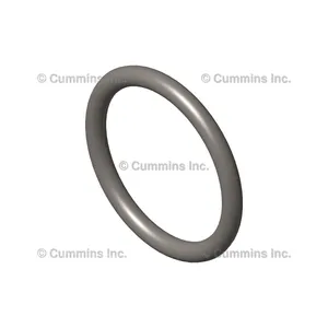 Cummins Seal O Ring 377850 
