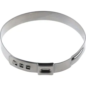 Spicer BOOT CLAMP 314350 