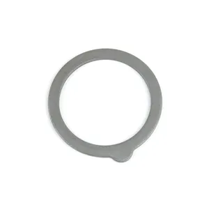 Spicer FRICTION WASHE 538796 