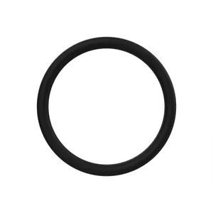 Funk O RING 1199466 