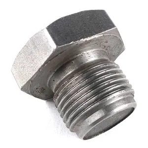 PAI PLUG 301224 