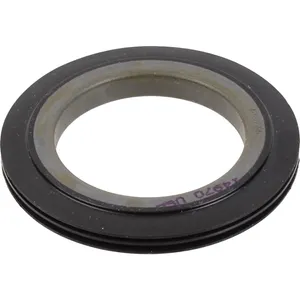 SKF Seal 491958 