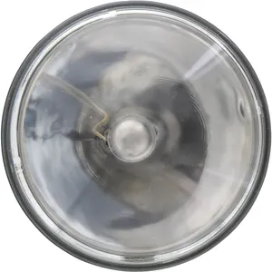 Lumileds 12V 30W 963840 