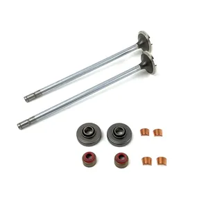 PAI KIT VALVE EXH 645328 