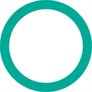 FJC Inc. O'RINGS, EA(10 1227649 