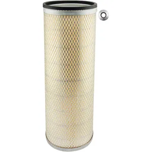Baldwin AIR FILTER 927856 