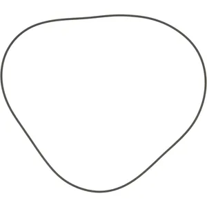 Spicer O RING 508742 