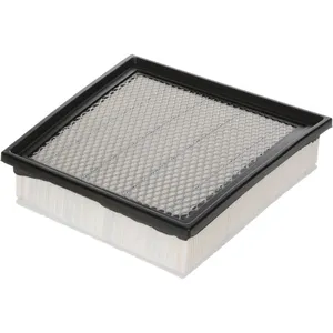 Luber-Finer AIR FILTER 3251882 