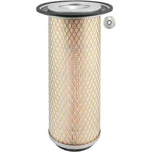 Baldwin Air Element 213764 