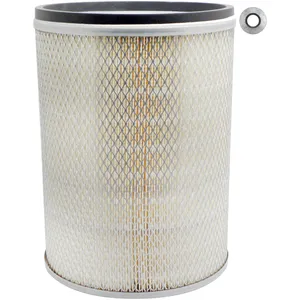 Baldwin AIR FILTER 333694 