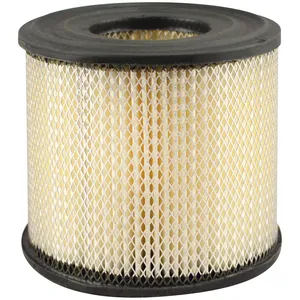 Baldwin Air Element 249772 