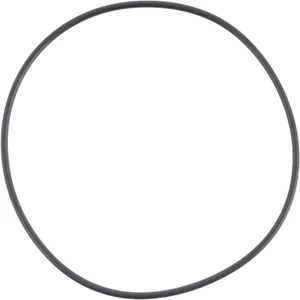 Spicer ORING 520466 