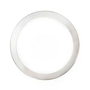 SKF Bearing Race 493282 