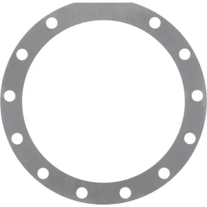 Spicer SHIM 498216 
