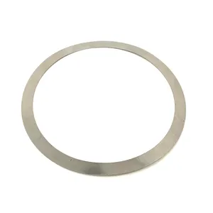 Meritor Shim-.005 310598 