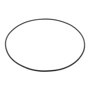 PAI O-Ring 251780 