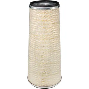 Baldwin AIR FILTE 1445567 