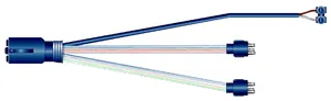Phillips PIGTAIL MODULE 1126860 