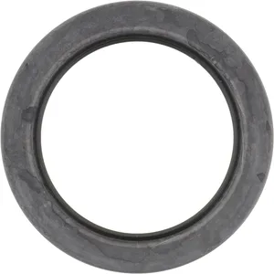 Spicer OIL SEAL 504906 