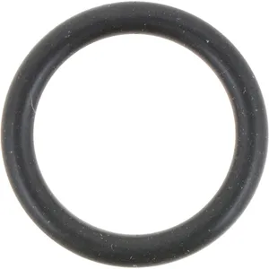 Spicer ORING 532450 