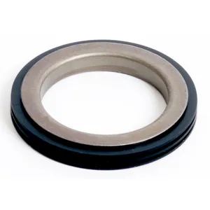 SKF Seal 483942 