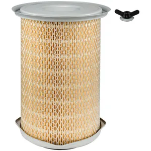 Baldwin Air Element 212478 