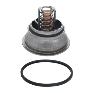 PAI Thermostat 254998 