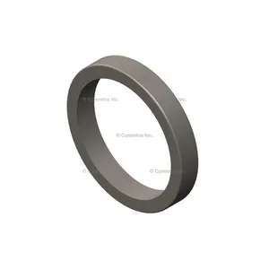 Cummins Seal Oil 376904 