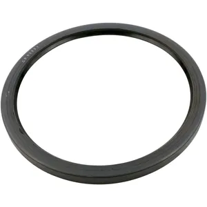 SKF Seal 493538 