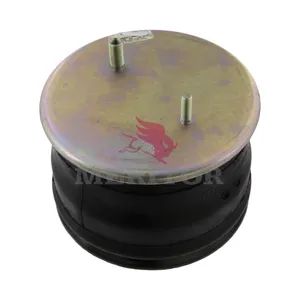 Firestone Air Spring 760952 