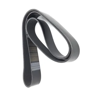 Dayco Serpentine Belt 244596 
