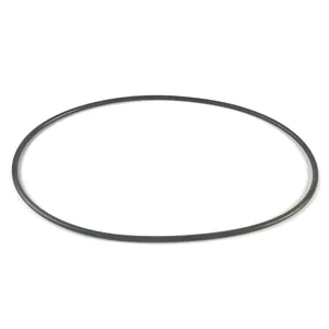 PAI O'RING 324712 
