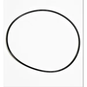 Spicer O RING 505500 