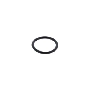 PAI O'RING 321368 