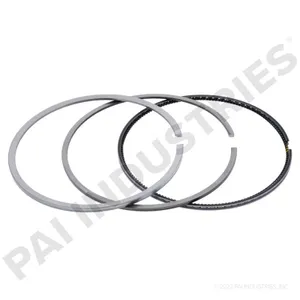 PAI ST,RNG,PSTN(C13 624374 