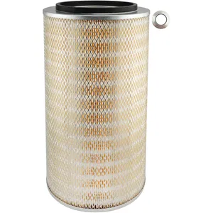 Baldwin Air Filter 1447166 