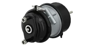 Wabco DOUBLE DIAPHRAG 1177491 
