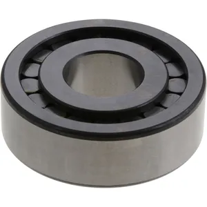 Spicer Differential Pilot Bearing 215366 