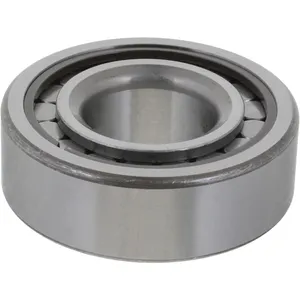 Spicer Differential Pilot Bearing 218264 