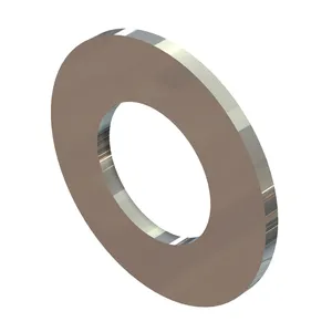 Holland WSHR FLAT NARRO 609376 